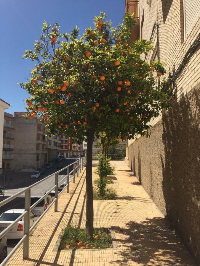 Apartment Sunny Harbour Santa Pola Exteriör bild